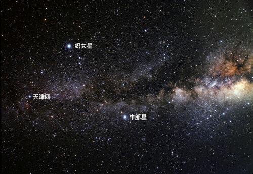牛郎织女_夏季大三角_醒来觉得甚是爱你_恋与制作人_长篇小说同人_远歌国际 牛郎织女_夏季大三角_醒来觉得甚是爱你_恋与制作人_长篇小说同人_远歌国际