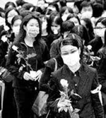 远歌国际 张国荣 远歌国际 张国荣